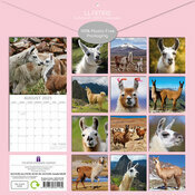 Calendrier Papier 2025 Camlid Lamas