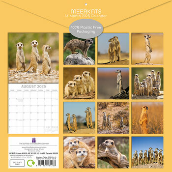 Calendrier 2025 Suricate Sentinelle