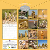 Calendrier Papier 2025 Suricate Sentinelle