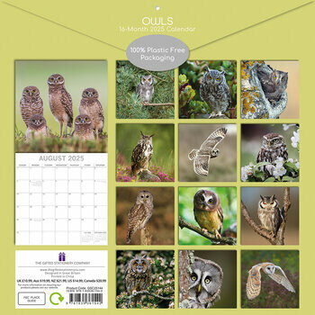 Calendrier 2025 Chouettes Majestueuses