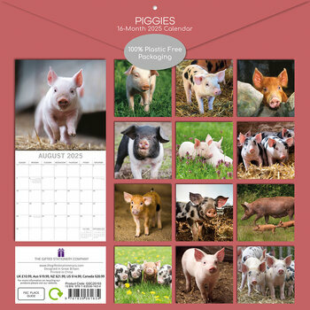 Calendrier 2025 Ferme et Cochons