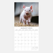 Calendrier papier 2025 Ferme et Cochons