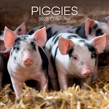 Calendrier 2025 Ferme et Cochons