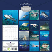 Calendrier Papier 2025 Requins Squales