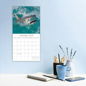 Calendrier 2025 Requins Squales