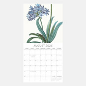 Calendrier= Agapanthe 2025 Redout Dessins Fleurs Botanique