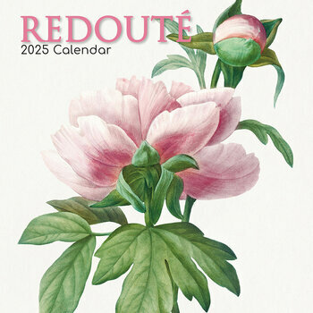 Calendrier 2025 Redouté Dessins Fleurs Botanique