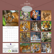 Calendrier Bb 2025 Tigre Flins