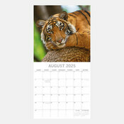 Calendrier Savane 2025 Tigre Flins