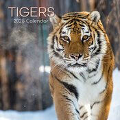 Calendrier Mural 2025 Tigre Flins