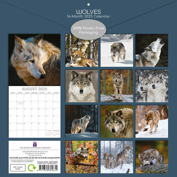 Calendrier 2025 Loups Louveteau