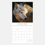 Calendrier nature 2025 Loups Louveteau