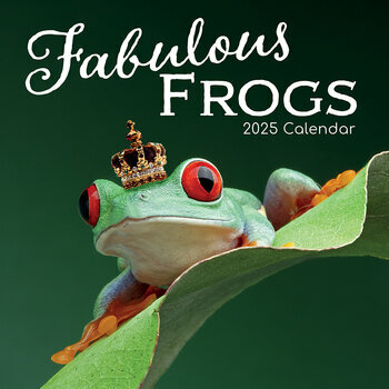 Calendrier 2025 Grenouilles Fabuleuses 