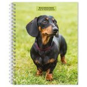 Agenda Papier 2025 Spirale Chien Race Teckel