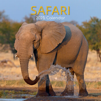 Calendrier 2025 Safari Animaux Sauvages