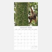 Calendrier Tropical 2025 Jungles et ses Animaux