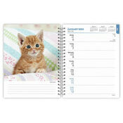 Agenda chat 2025 Spirale Chatons