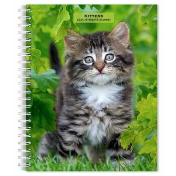 Agenda 2025 Spirale Chatons