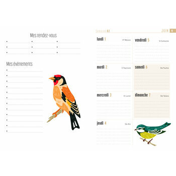 Agenda 2026 Dessins Oiseaux du Jardin