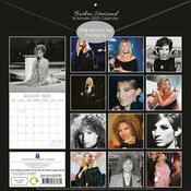 Calendrier Papier 2025 Barbara Streisand Star Chanteuse