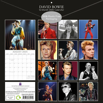 Calendrier 2025 David Bowie Chanteur Pop