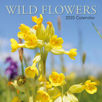 Calendrier 2025 Fleurs des Champs