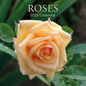 Calendrier Mural 2025 Roses et Boutons de Rose