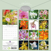 Calendrier papier 2025 Fleurs d'Orchides