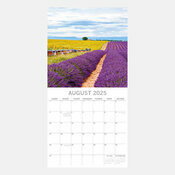 Calendrier Champs Lavande 2025 Provence et sa Lavande