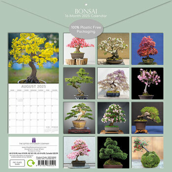 Calendrier 2025 Bonsaïs d'Intérieur Ficus Erable