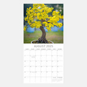 Calendrier Arbre 2025 Bonsas d'Intrieur Ficus Erable