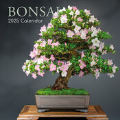 Calendrier Mural 2025 Bonsas d'Intrieur Ficus Erable