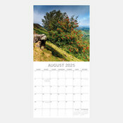 Calendrier Erables 2025 Beaut des Arbres Majestueux