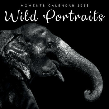 Calendrier 2025 Portraits Animaux Sauvages Noir et Blanc