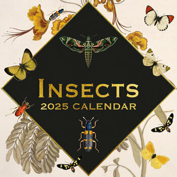 Calendrier 2025 Dessin Insectes Collections