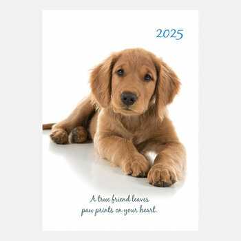 Agenda Chien Adorable 2025