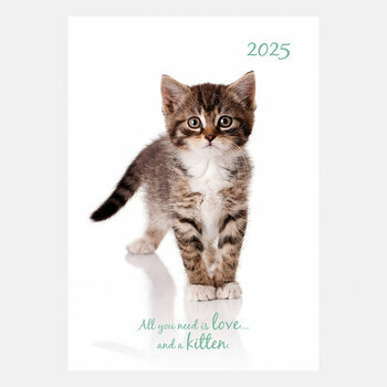  Agenda Chaton Mignon 2025