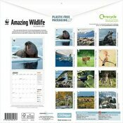 Calendrier Papier 2025 Animaux Etonnants WWF