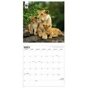 Calendrier 2025 Grands Flins WWF