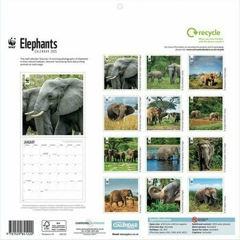 Calendrier 2025 Eléphants WWF