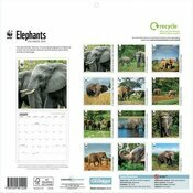 Calendrier Papier 2025 Elphants WWF