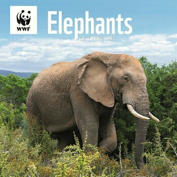 Calendrier 2025 Eléphants WWF