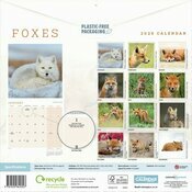 Calendrier papier 2025 Renards Renardeaux