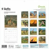 Calendrier papier 2025 Girafe Safari WWF