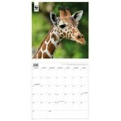 Calendrier 2025 Girafe Safari WWF