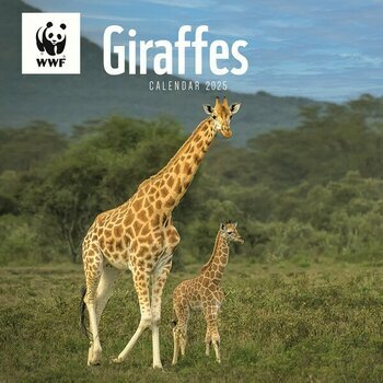 Calendrier 2025 Girafe Safari WWF