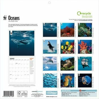 Calendrier 2025 Océan et Vie Sous Marine WWF