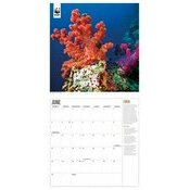 Calendrier 2025 Ocan et Vie Sous Marine WWF