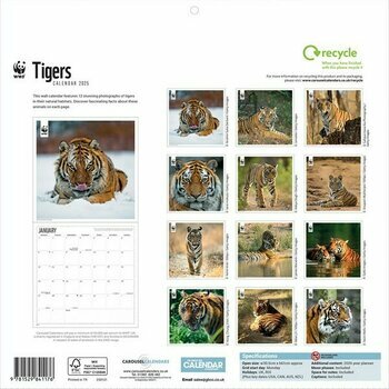 Calendrier 2025 Tigres Félins WWF