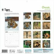 Calendrier Papier 2025 Tigres Flins WWF